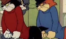 老鼠短视频下载,老鼠萌态引发下载热潮